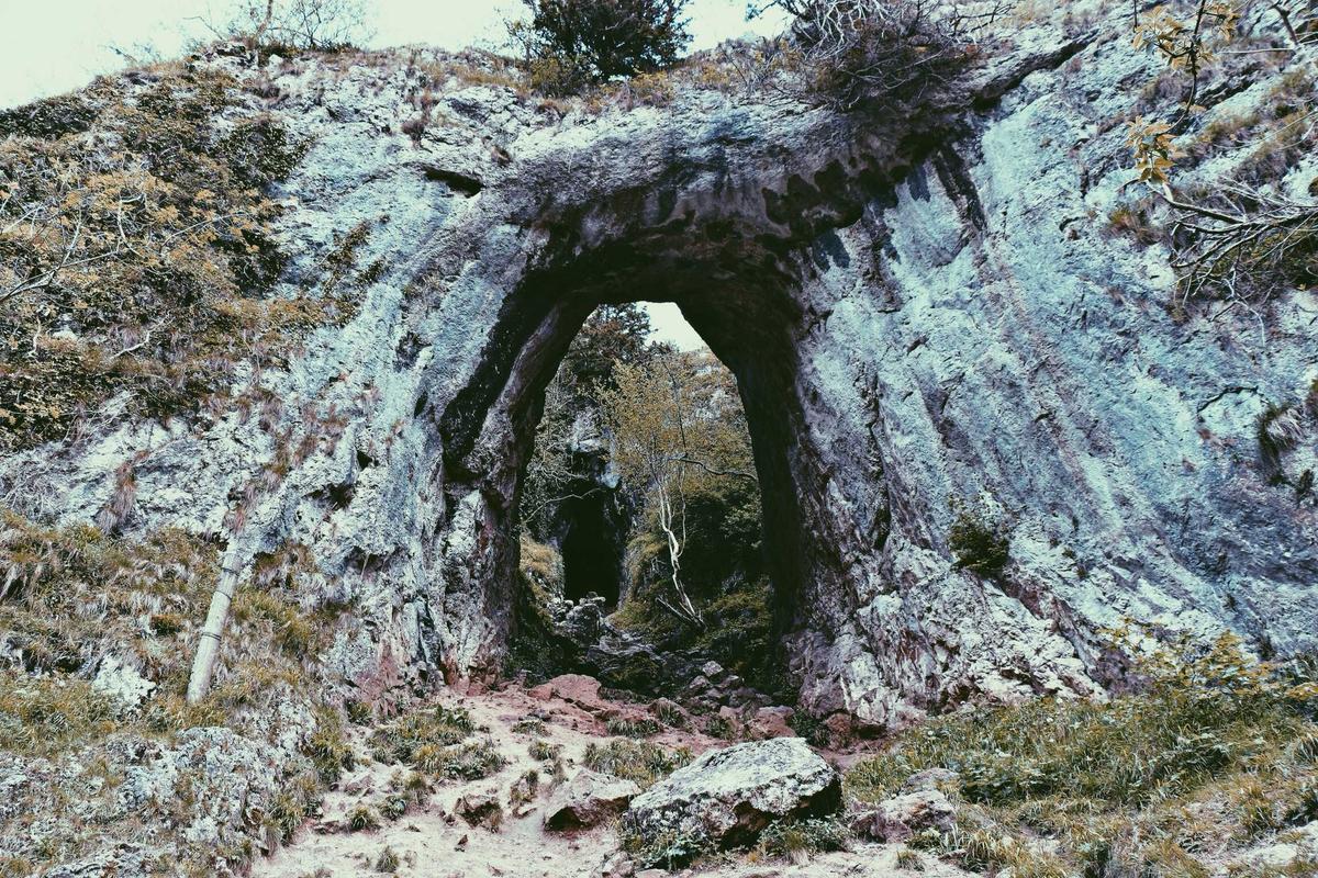Image 6
